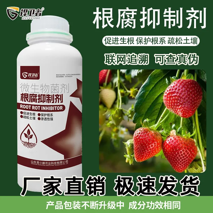 根腐抑制剂烂根根腐立枯死苗生根壮苗生物菌剂蔬菜水果专用