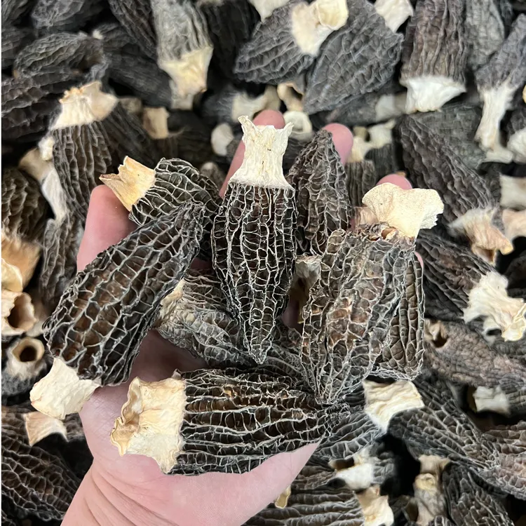 精选头茬羊肚菌5-7公分精选干货煲汤 100-500克包邮