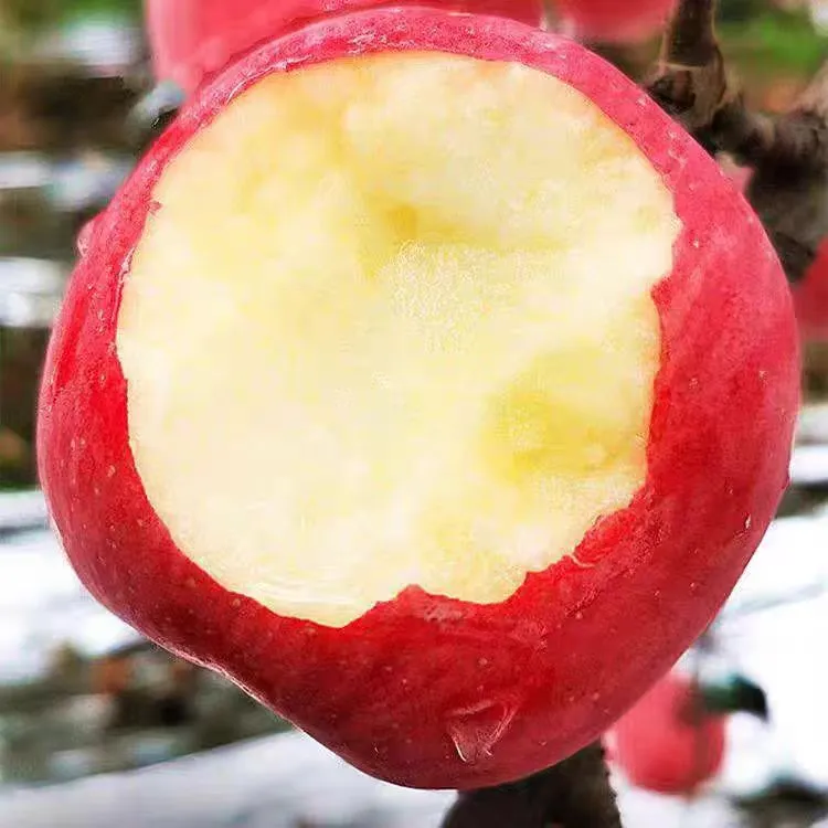 沂蒙山红富士苹果产地直发山东红富士带箱约10斤