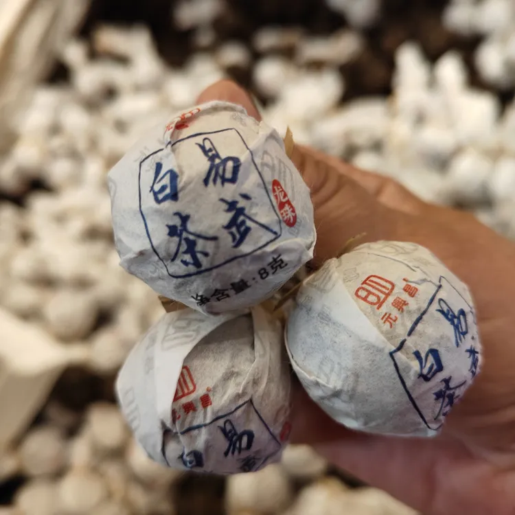 易武白茶龙珠云南白茶