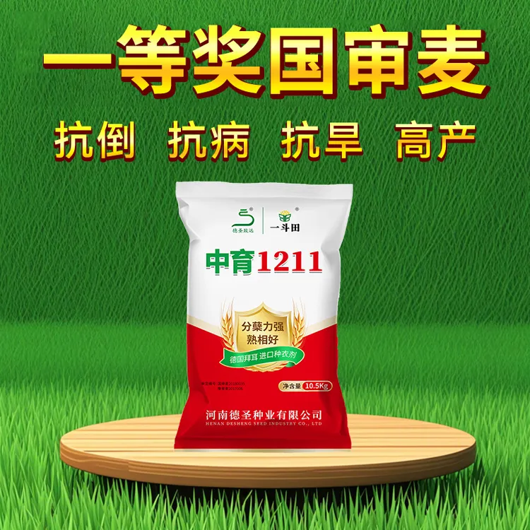 【达人专属小麦种子】中育1211高产小麦种10.5kg抗冻抗寒抗倒伏穗大
