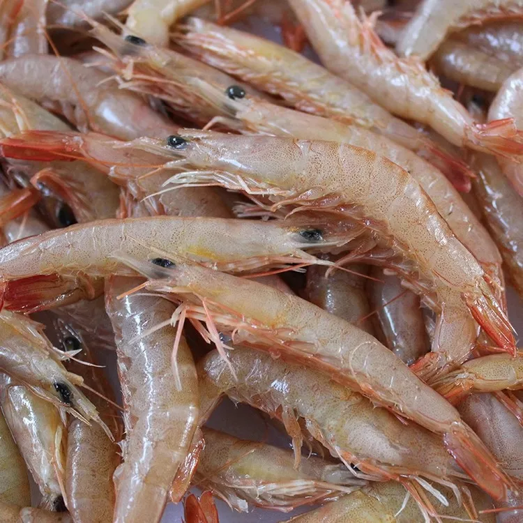 新鲜野生鲜活速冻海虾滑皮虾立虾海捕鹰爪虾小红虾京东包邮