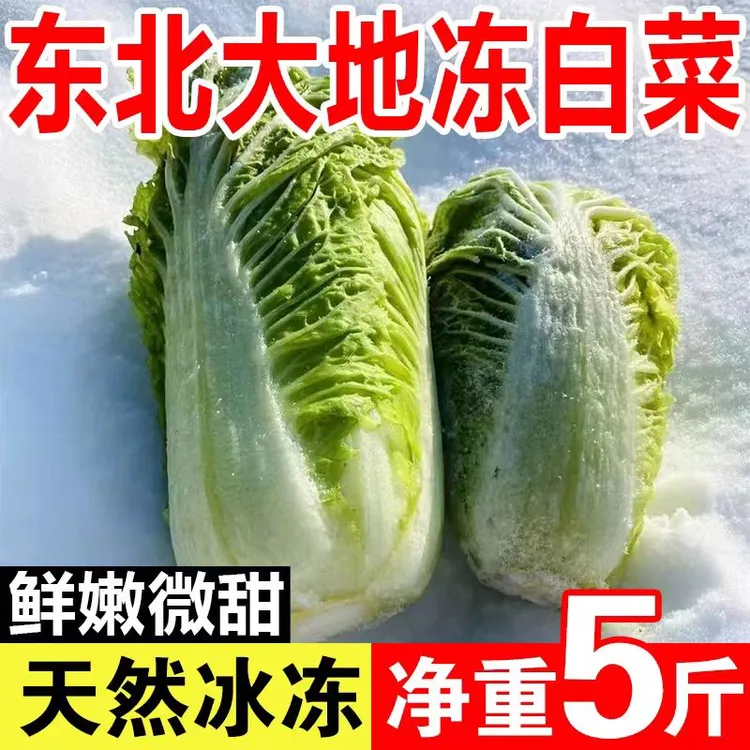 东北冻白菜自然冷冻整颗发货