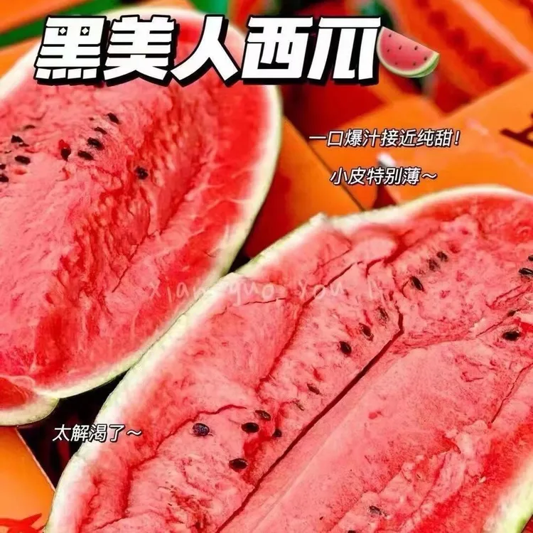 新鲜3-9斤】黑美人西瓜精选新鲜水果当季瓜越南同品不是麒麟甘美瓜