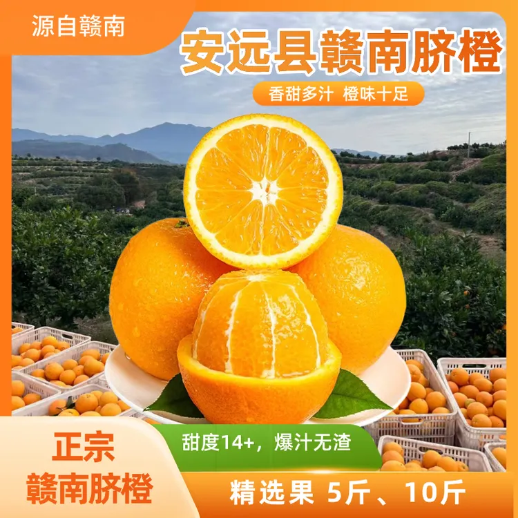 【原产地】江西赣南脐橙新鲜采摘汁水足果肉化渣应季水果孕妇水果