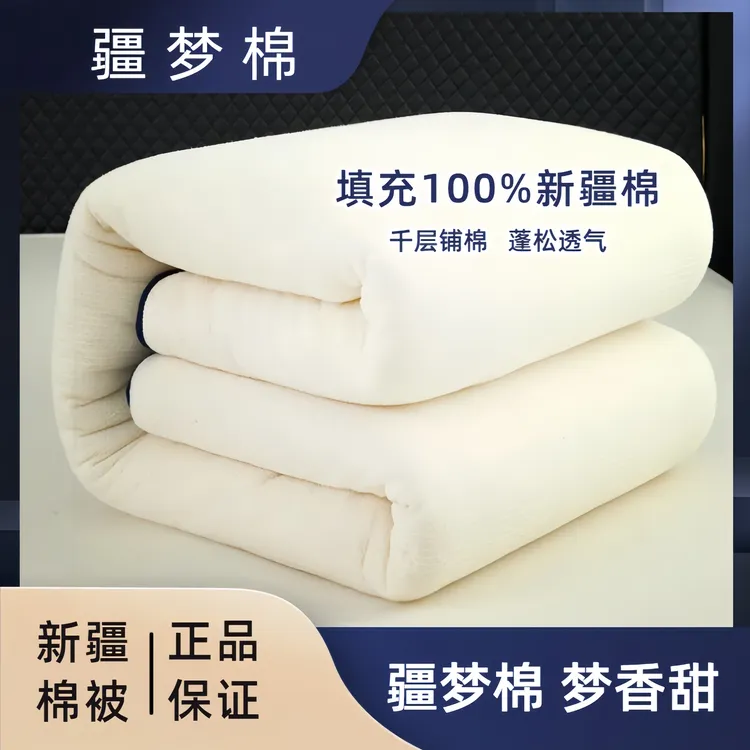 疆梦棉新疆棉长绒棉被100%全棉花被棉被芯褥子全棉床垫全棉蓝包边