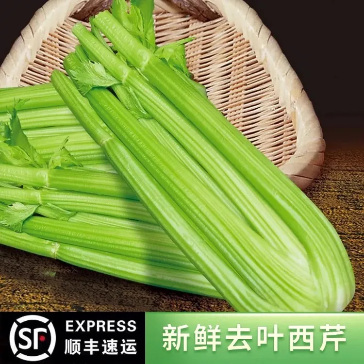 山东寿光自家农家土肥料种植水果西芹生吃榨汁清脆爽口顺丰包邮