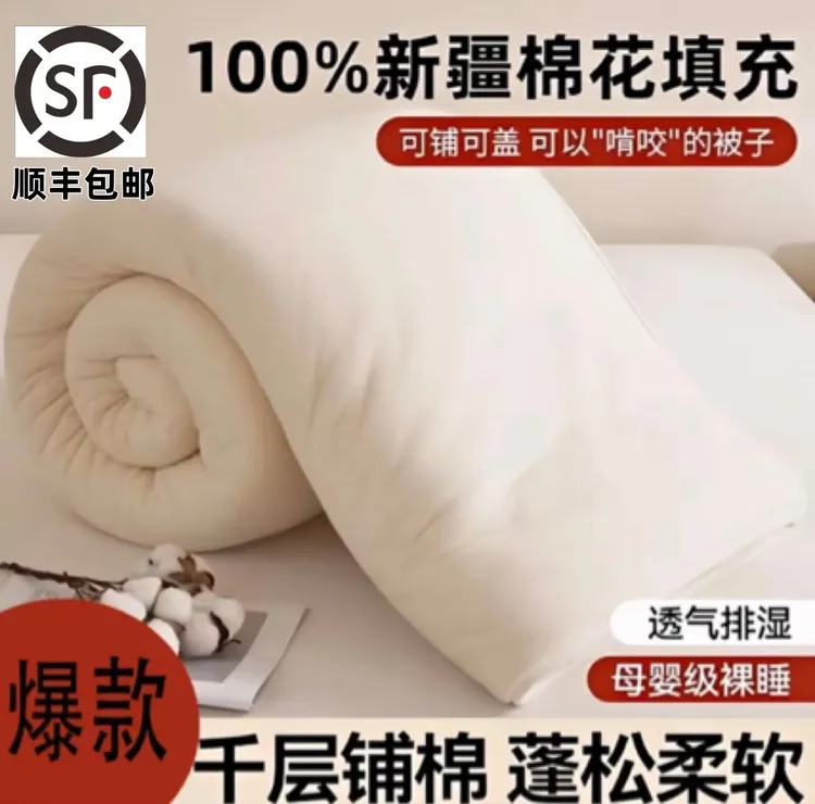 新疆棉花被芯棉花100%床垫被子加厚手工被冬被保暖学生单双人被子