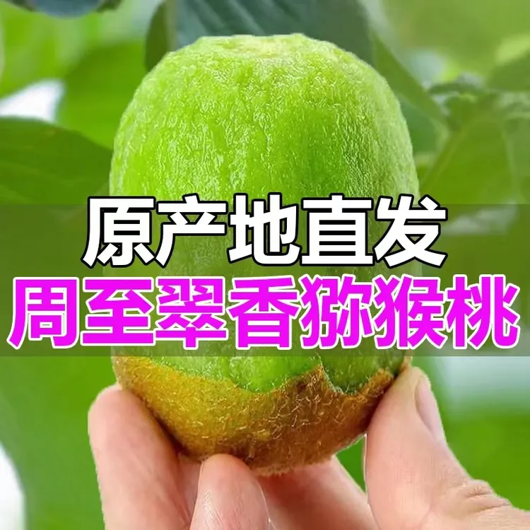 陕西周至翠香猕猴桃奇异果当应季新鲜水果软糯多汁香甜可口包邮