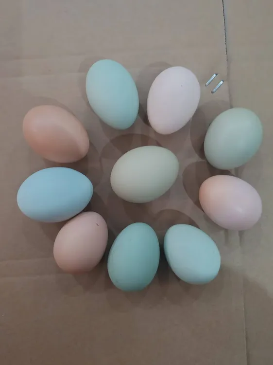 散养七彩五谷杂粮土鸡蛋（现捡现发）