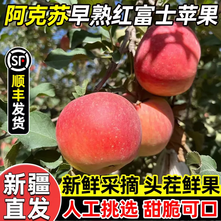 顺丰新疆直发 阿克苏早熟红富士苹果 新鲜水果甜脆多汁中秋节礼盒