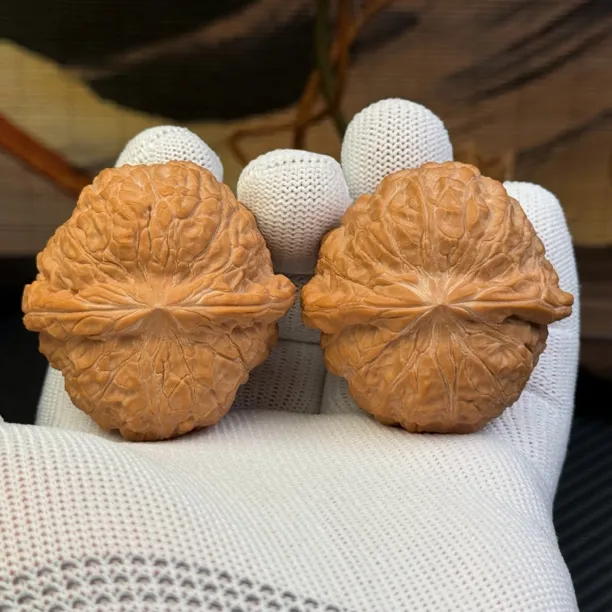 精选南瓜墩狮子头，边46肚47高32，原生态一代老树大南瓜，一物一图