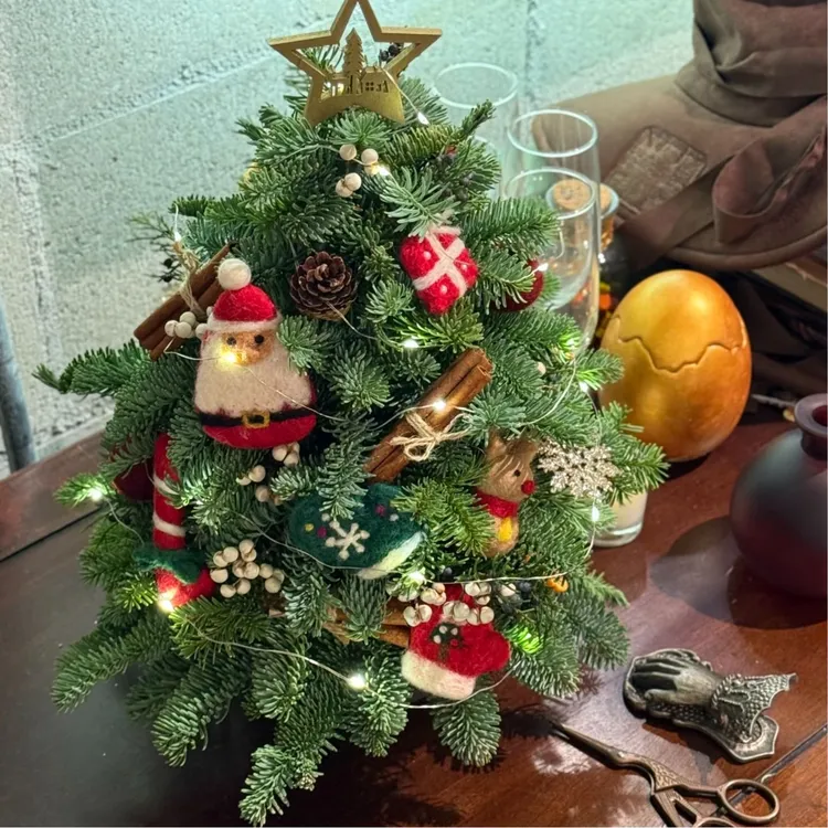 圣诞树 暮光森林 节日仪式感花材