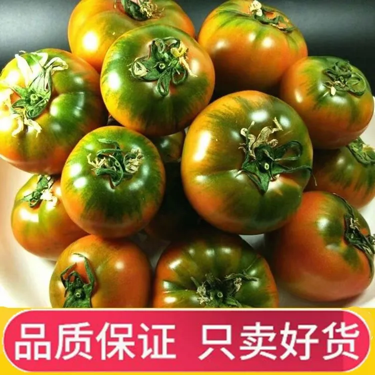 山东西红柿新鲜生吃草莓柿子山东碱地自然熟绿腚柿子实物为准