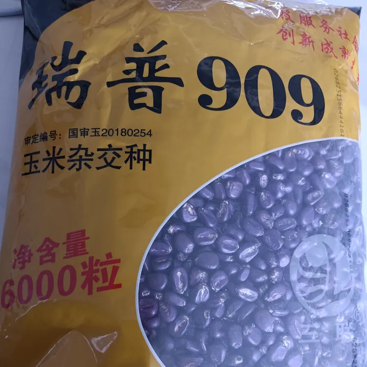 瑞普909抗旱铁杆大棒王 6000粒4.7斤买十袋赠一袋