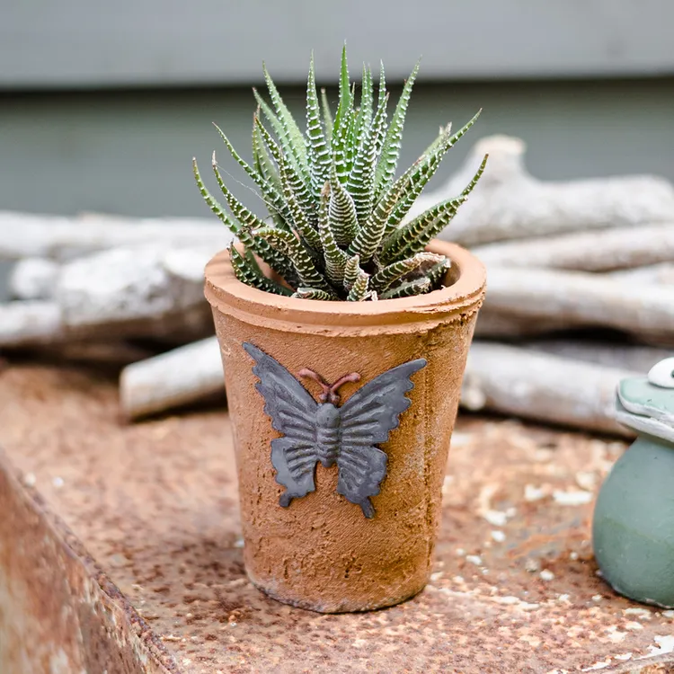 鲜花绿植盆栽透气吸水陶土泥瓦小型蝴蝶红陶多肉花盆育苗盆