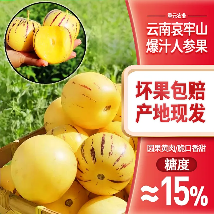 【云南哀牢山当季人参果】3-5斤树上熟皮薄肉厚爆汁低糖应季水果