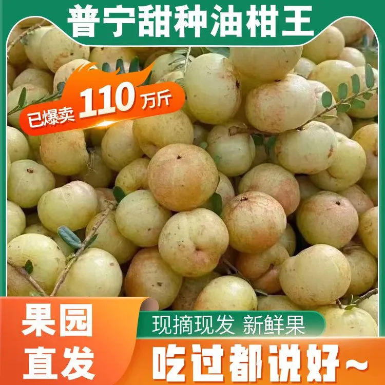 潮汕特色贵族水果油柑王现摘余甘果余甘子牛甘果孕妇可食酸甜水果