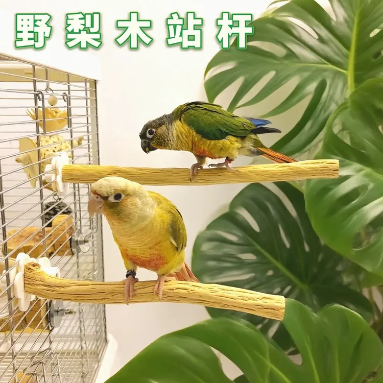 小太阳杜鹃鹦鹉天然野生梨木站杆站架鸟笼配件栖木树杈生态造景