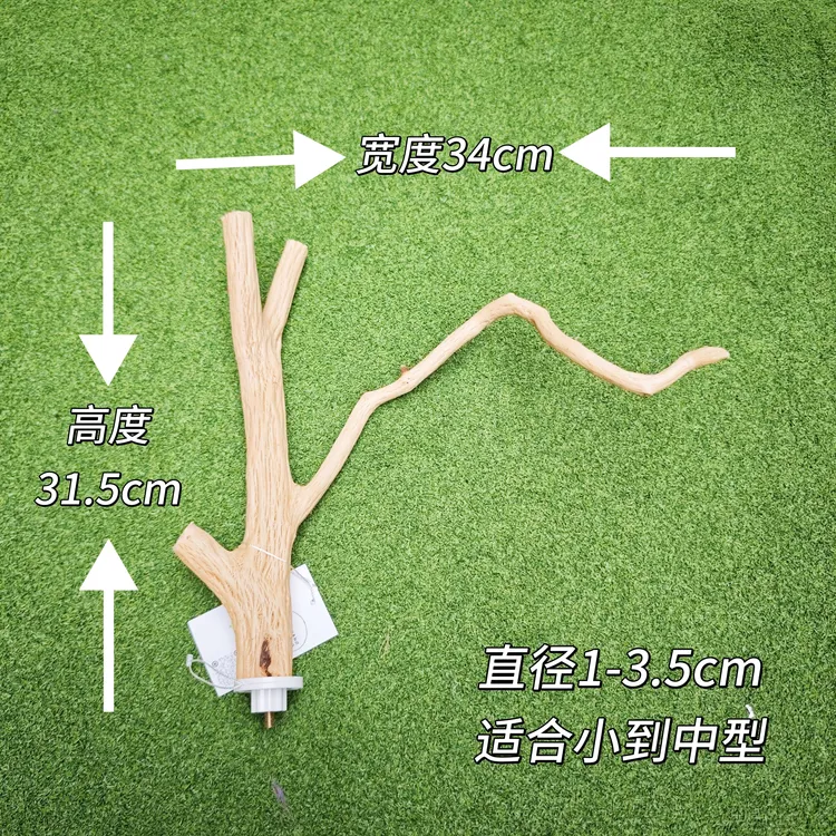 鹦鹉原木树枝站棒 自然造型抓握舒适 适合各种中小型鹦鹉