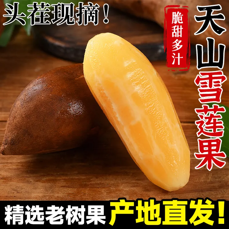 正宗云南天山雪莲果新鲜水果红心一级正宗雪连果当季整箱脆甜多汁