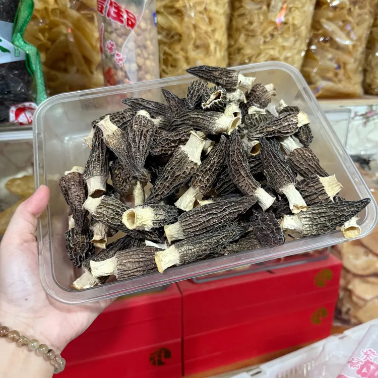 六妹头茬羊肚菌 珠海发货 煲汤蒸蛋蒸鸡酿肉酿虾滑营养丰富