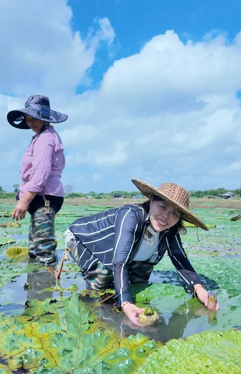 苏州特产车坊鸡头米（颗颗手拨）2斤起售卖贵在运费