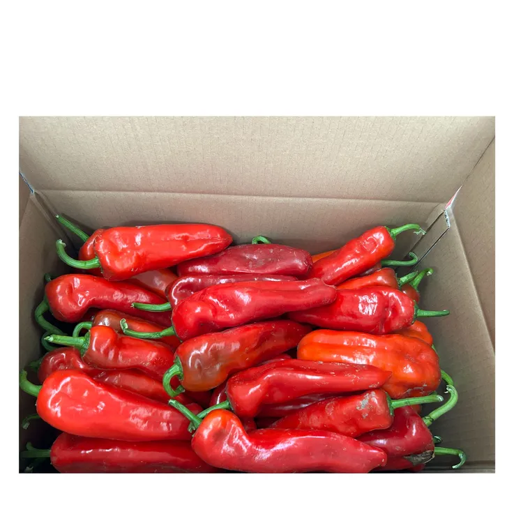 【淮安宇慧辣椒系列-淮安红椒】清江浦农家新鲜大红辣椒