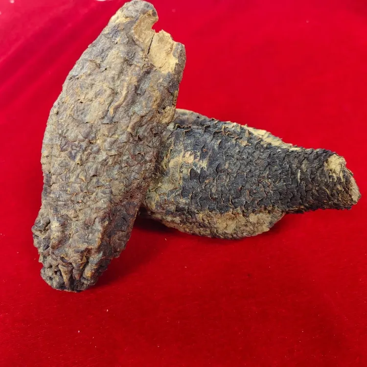 【800g管花干肉枞蓉整根】新疆工种植泡泡酒、泡茶初级农产品