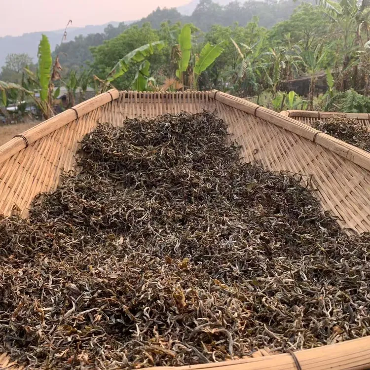 西双版纳克木族寨民自种自采自晒生态农家茶口感香醇厚重味浓耐泡