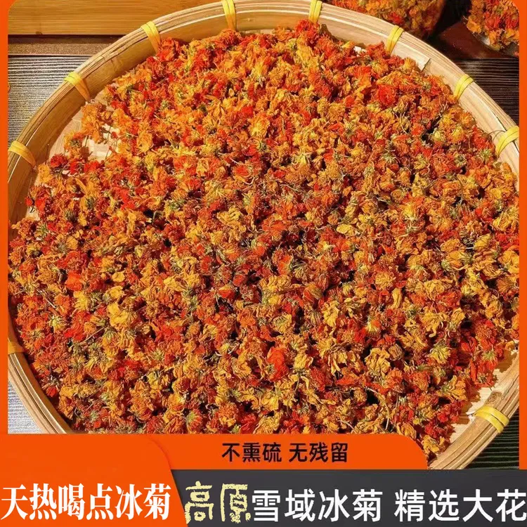 冰菊食用花云南高原玉龙雪域冰菊可冷泡热泡的甄选好冰菊花茶泡水