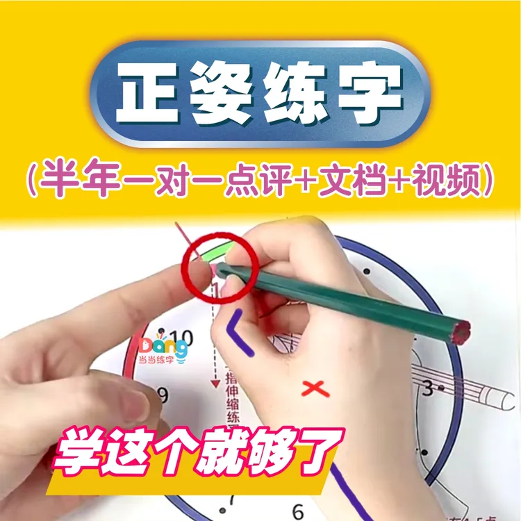 （一对一指导）握笔正姿 控笔练字全体系课程 送讲解视频