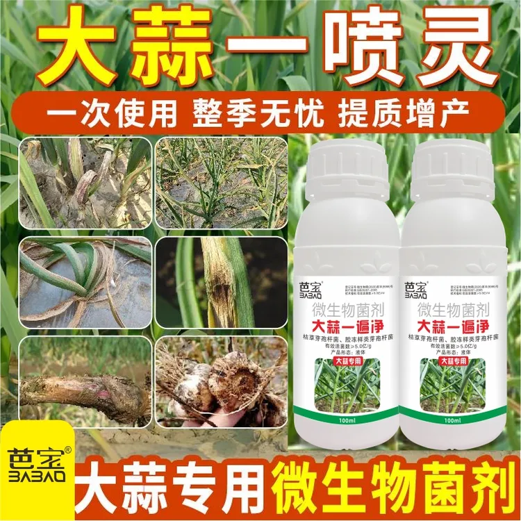 大蒜一遍净专用杀菌剂黄叶干尖叶枯紫斑锈病增产一喷灵预防保护型