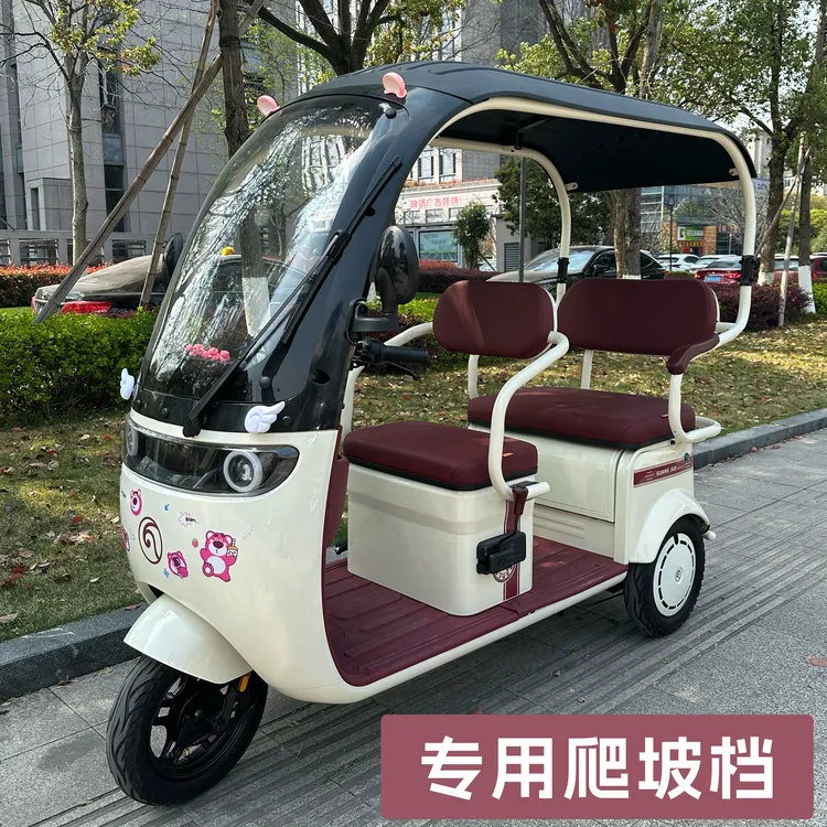电动车三轮车3轮带棚款孩子接送小孩巴士老人代步车电瓶车封闭