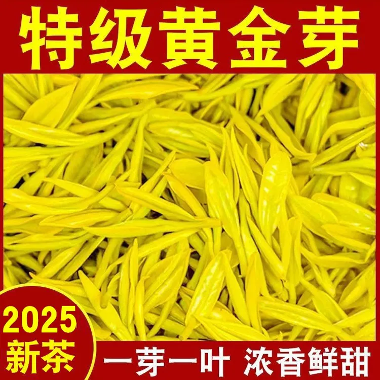 2025新茶明前黄金芽特二星特好级品正宗1芽1叶茶批农发高档黄金叶