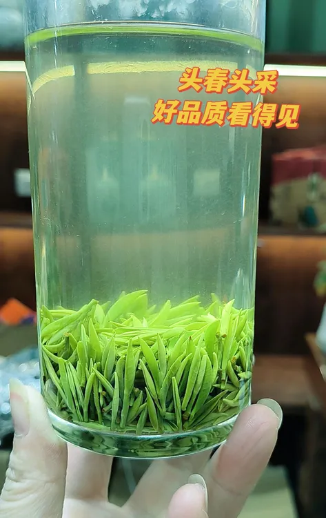 2025年新茶明前雨花嫩芽毛尖嫩叶形似朵花形毛尖茶叶