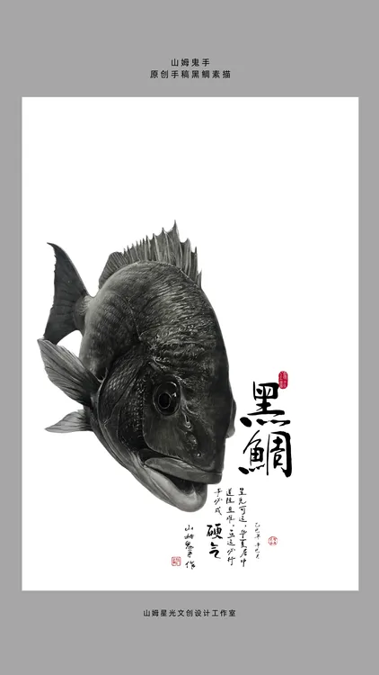 山姆鬼手素描黑鲷原创手稿 全开画幅787x1098mm 大富之家连年有余