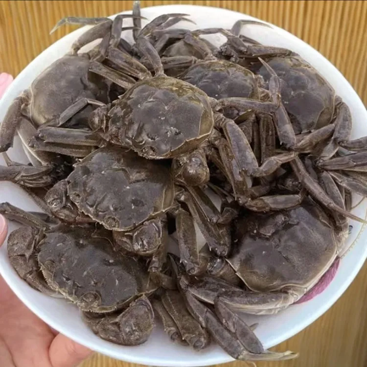 【活蟹】盘锦河蟹（0.8-1两)公母组合各10只到手20只