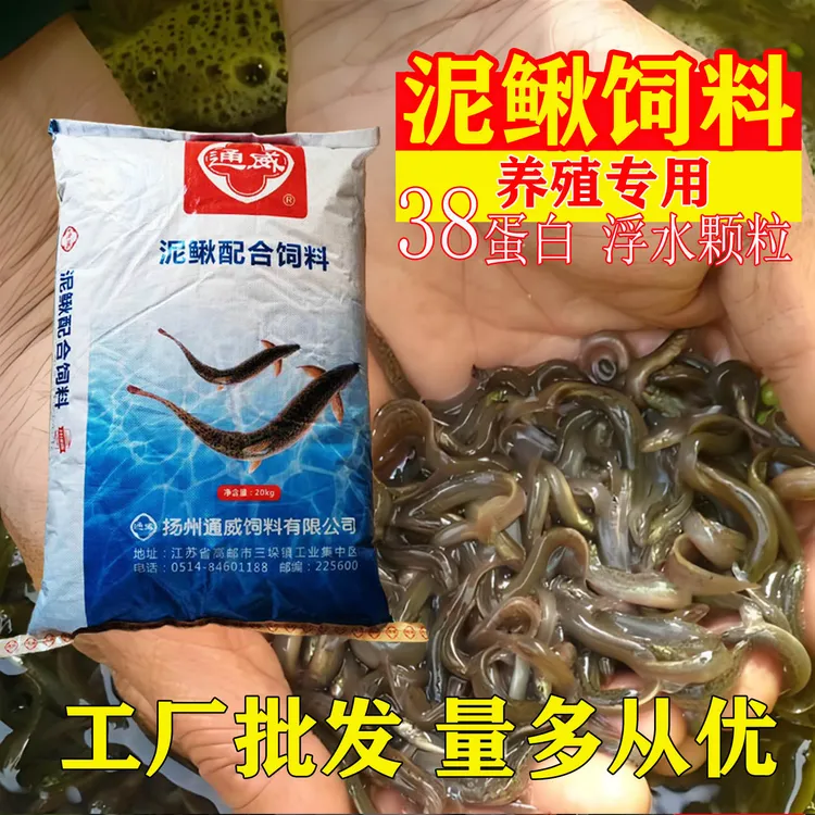通威泥鳅饲料高蛋白小颗粒鱼苗开口鱼食黄金泥鳅台湾泥鳅养殖专用