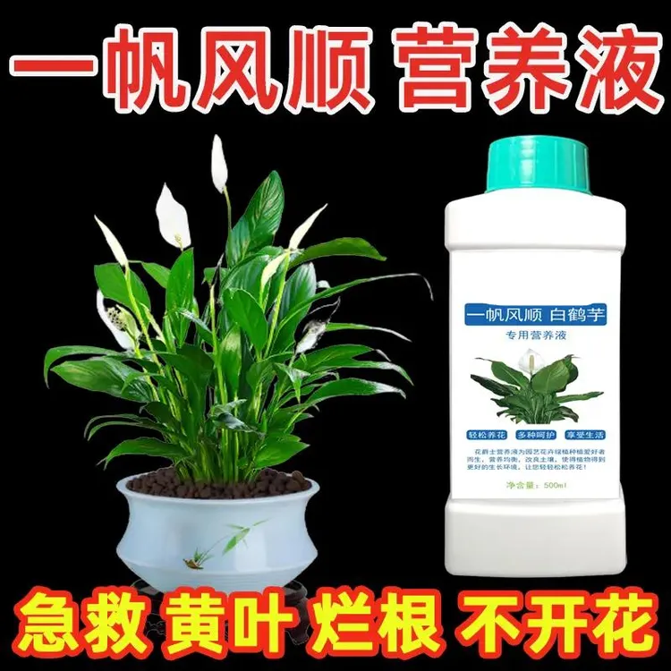 一帆风顺专用营养液水培白掌肥料白鹤芋叶子发黄烂根开花专用肥料