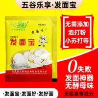 发面宝老面味6g家用版规格可选