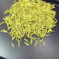 【清仓高货奶伯】2025年皇金芽正宗安吉溪龙原产地发货