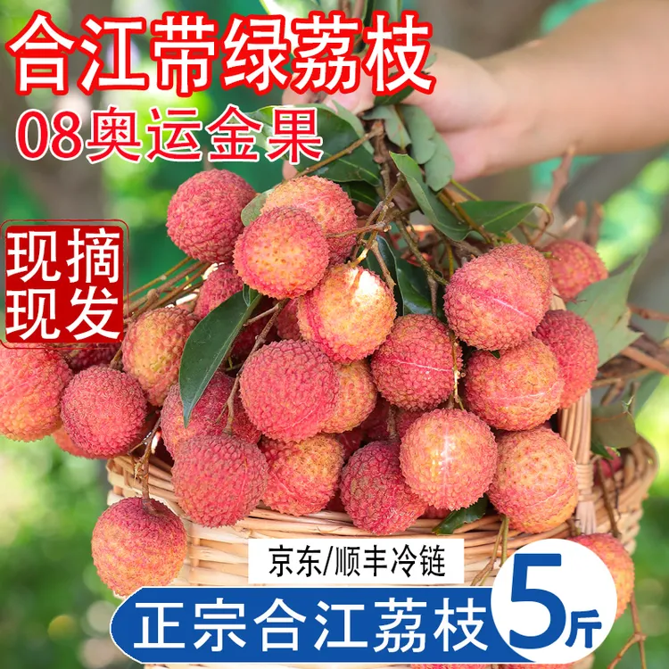 京东/顺丰冷链正宗四川泸州合江带绿荔枝桂味荔枝5斤包邮新鲜水果