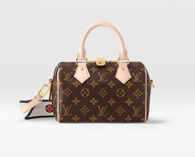 99新 LouisVuitton/路易威登  LV 老花 speedy 20 枕头包/通
