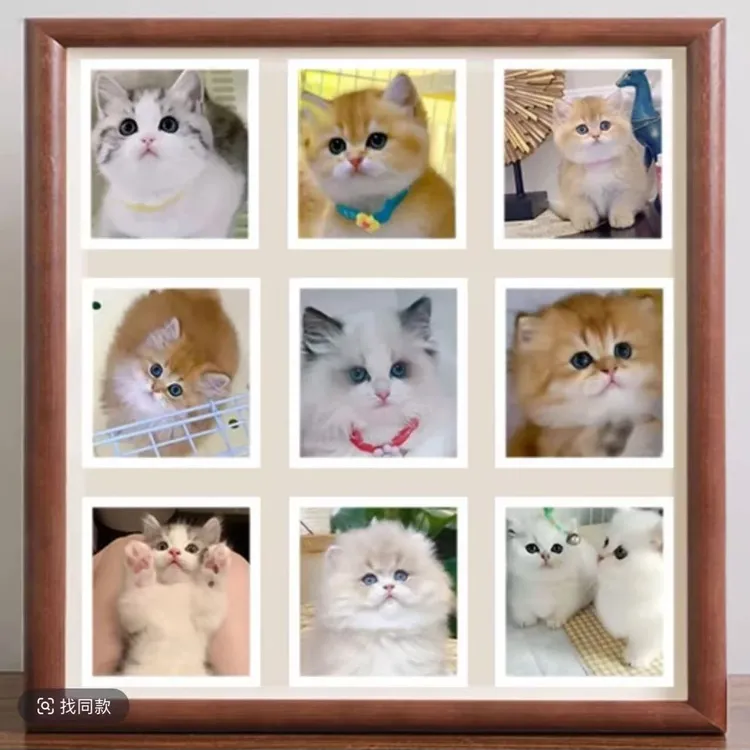 宠园相册定制链接