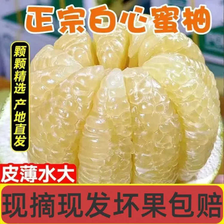 四川高山现摘新鲜应季水果白心蜜柚清甜薄皮产地值发坏果包赔