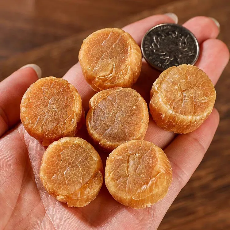 超大元贝70头150头220头规格大连瑶柱干贝干货煲汤送礼高端滋补品