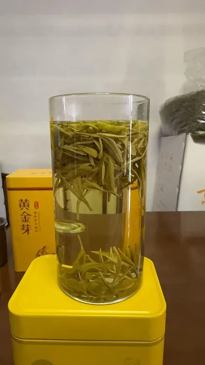 和家春高山黄金芽馥郁的栗香与鲜嫩口感耐泡浓郁