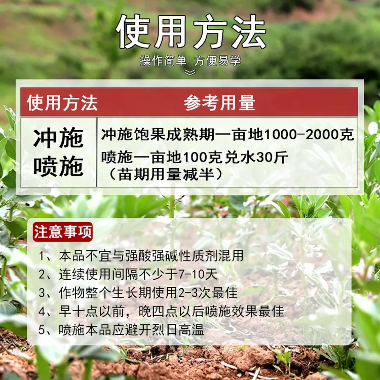 肥公肥婆蚕豆专用促花多荚粒粒饱抗逆抗倒伏籽粒饱满增产增收专用