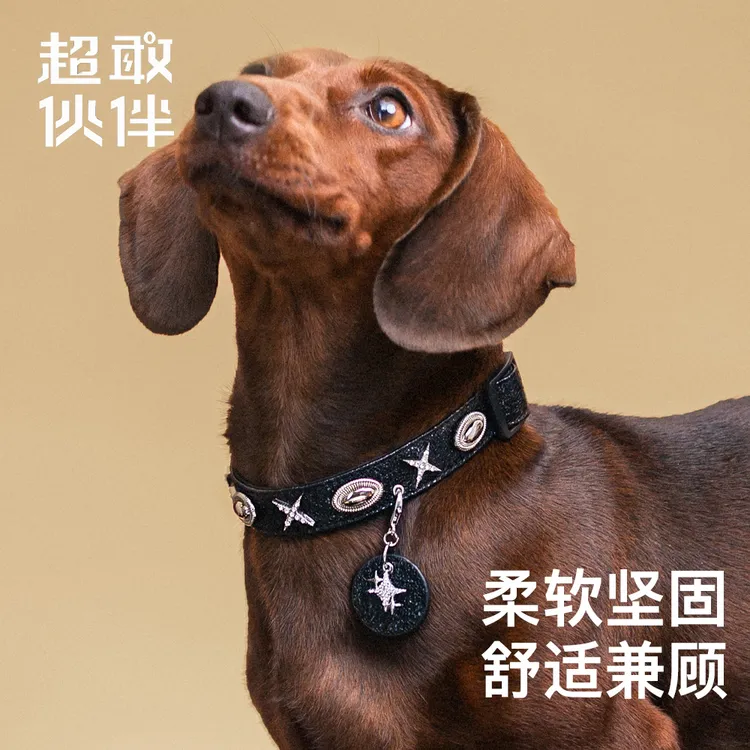 【超敢伙伴】耀夜白星宠物项圈黑色亮闪星中小幼型犬猫通用可牵引